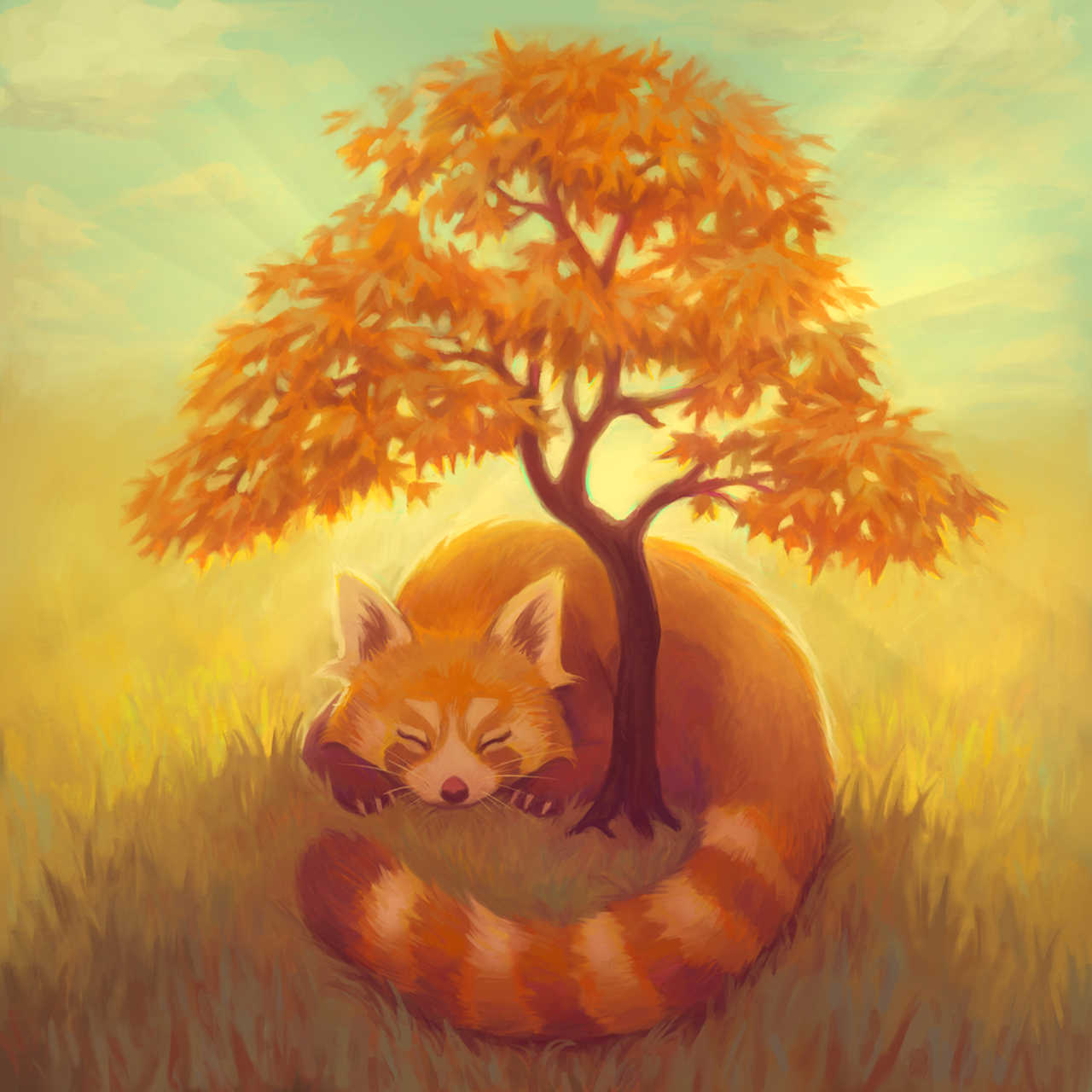 Red Panda Nap